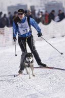 Lenk 2013